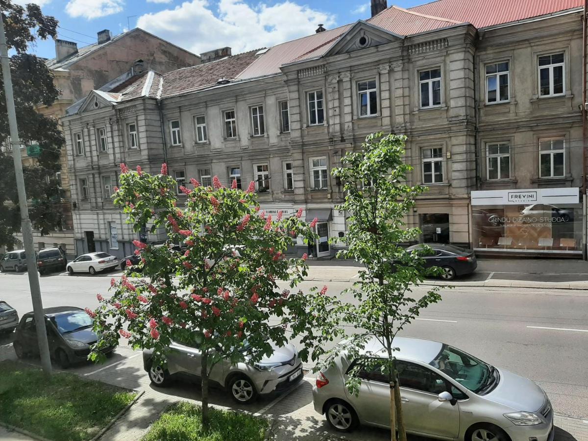 Centrally Located Cosy Studio Vilnius Eksteriør billede